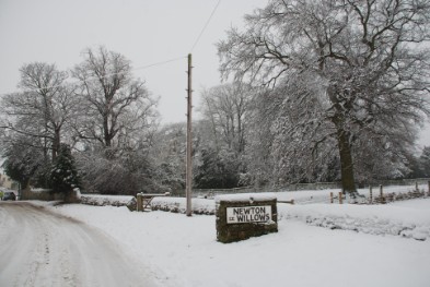 Snow in Winter